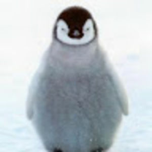 Meet your Posher, Layne